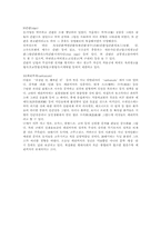 [산업디자인]시각디자인의 개념과 분류조사-6