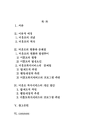 [사회복지]한국 미혼모의 복지 서비스의 개선방안-2