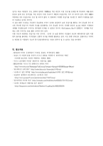 슈렉이 비판하는 안티 디즈니의 내용과 그 정당성에 대한 분석(A+)-13