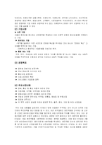 KT&G의조직구조와마케팅전략분석(A+)-3