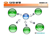 [마케팅] 대한생명 분석-8