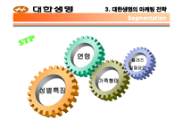 [마케팅] 대한생명 분석-16