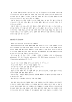 영재교육 레포트-3