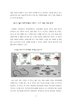 [생명공학과 미래사회] 생명공학의 발달과 의학의 변화 -의학에서 활용될 생명공학 기술의 재조명과 전망에 대해-10