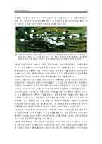 [정보사회론] 안토니 기든스 `민족국가와 폭력`-8
