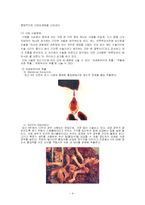 [사회학] 낙태문제-9