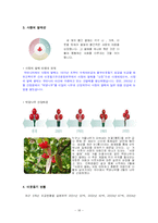 [지역사회복지] 사회복지 공동모금회-20