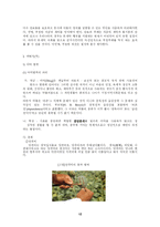 [사회 문제론] 범죄문제-12