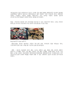 포토저널리즘 레포트-20