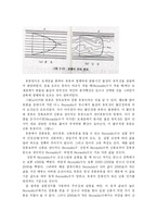 [화학공학]Reynolds 수 실험보고서-2