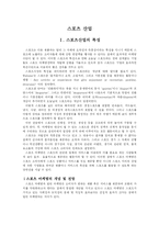 [유통학]스포츠마케팅에 대한 보고서-3