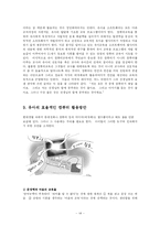 [유아교육] 유아의 효율적인 컴퓨터 교육-16