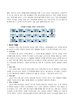 패션브랜드 ZARA의 성공마케팅 전략분석(A+)-8