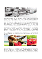 패션브랜드 ZARA의 성공마케팅 전략분석(A+)-12