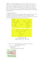 [화학실험] [A+]물질의 상태와 확인-메틸레드의 변화(아주대학교)-6