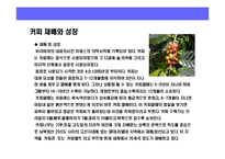[커피시장에 대한 이해] 커피시장에 대한 이해-8