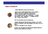 [커피시장에 대한 이해] 커피시장에 대한 이해-11
