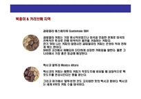 [커피시장에 대한 이해] 커피시장에 대한 이해-13