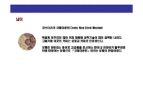 [커피시장에 대한 이해] 커피시장에 대한 이해-15