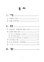 [관광경영] 마디나트 주메이라 호텔-2
