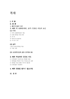 해외의 주요 인턴쉽프로그램 과정과 필요성 및 문제점과 발전방안(A+)-1