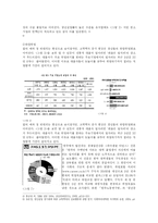 한국의 교육열과 청년실업-6