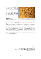 [고조리서연구, 역사, 국사, 조리, 경영, 경영학, 다도학] 전통찻집을 다녀와서...-5