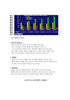 현대자동차 인도진출 성공마케팅 전략분석-3