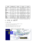 현대자동차 인도진출 성공마케팅 전략분석-4