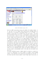 현대자동차의 국내외 마케팅 전략 분석(A+)-12