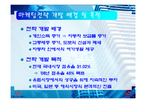 [마케팅전략] 마케팅 전략(아이나비 네비게이션)-8