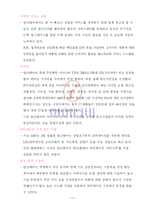 [마케팅전략] 아이나비(네비게이션) 마케팅 전략-13