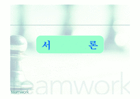 [마케팅전략] 여행상품 마케팅전략-3