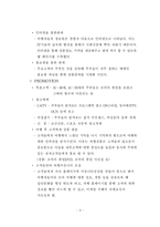 [마케팅전략] 여행상품 마케팅전략 자료-11