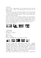 [감상문] 알프레드 히치콕 감독의 싸이코 분석-2