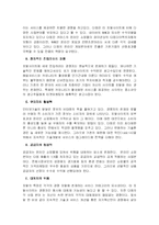 [e비즈니스] [e비즈니스]다음커뮤니케이션의 위기극복을 위한 경영전략(A+리포트)-9