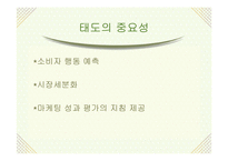 [소비자행동론] 태도변화이론 및 적용-5