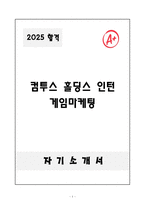 [자기소개서] 컴투스 홀딩스 인턴 게임마케팅 자소서-1