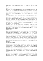 사회복지실천에서의 청소년기 분석(A+)-3
