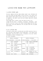 노인빈곤 문제 해결을 위한 노인경제보장정책(A+)-2