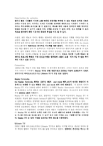 티보 케이스 스터디(하버드 비즈니스 스쿨)-7