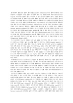[청년실업] 청년실업의 개념, 원인, 구조와 정책대안 및 향후 청년실업 대책방안 분석-4