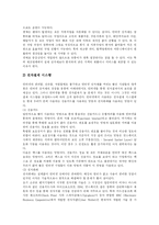 [인터넷마케팅] 인터넷 마케팅의 정의, 유형, 성격, 효과, 방법, 도구, 전략-10