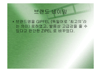 [마케팅](지펠의 마케팅 성공사례) 지펠의 경쟁구도 속의 브랜드 이미지 강화전략과 마케팅 전략 분석-7