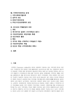 [지역사회복지] 지역사회복지의 개념, 특징과 현황 및 과제 분석-2