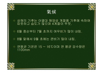 [지역연구] 상해지역연구-3