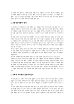 [비정규직] 비정규직 근로의 원인, 현황과 향후 전망 및 제도개선 과제 분석-10