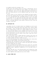 [스포츠마케팅] 스포츠 마케팅 이론과 현황 및 스포츠 마케팅 전략 분석(스포츠 마케팅 사례)-8