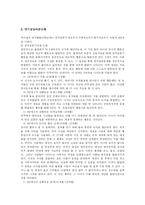 [사회복지] 피아제의 인지이론-3
