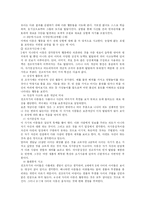 [사회복지] 피아제의 인지이론-4